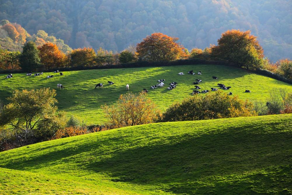 El Observatorio Turístico de Navarra tiene como objetivo